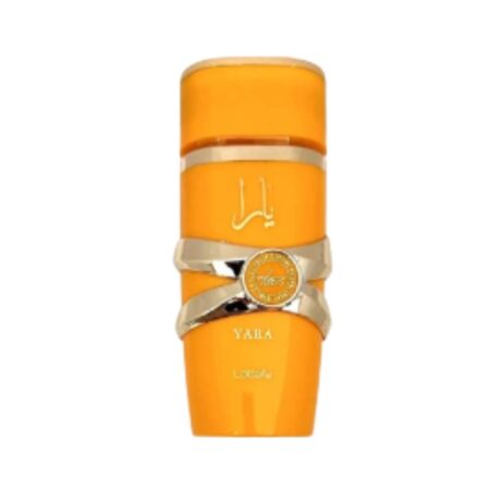 Untitled design - 2025-12-17T152733.109