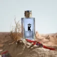 d&g k edt 1
